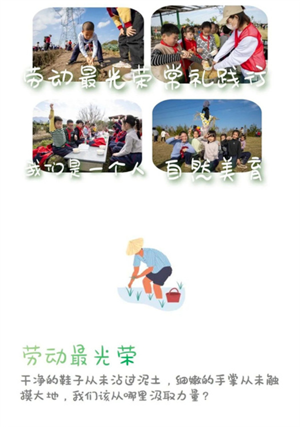 一碗炒飯，一日農(nóng)民，一種感恩。(圖1)