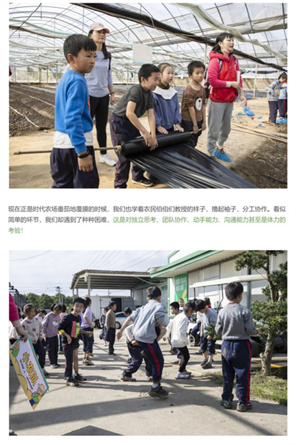 一碗炒飯，一日農(nóng)民，一種感恩。(圖6)